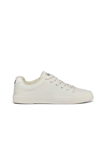 Polo Club Sneakers in Creme