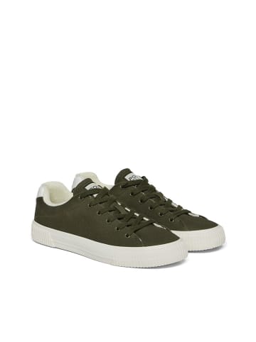Polo Club Sneakers in Khaki