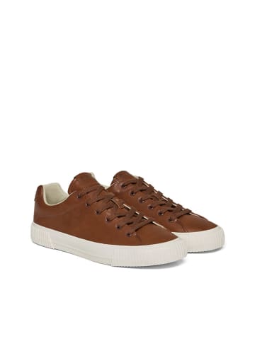 Polo Club Sneakersy w kolorze brązowym