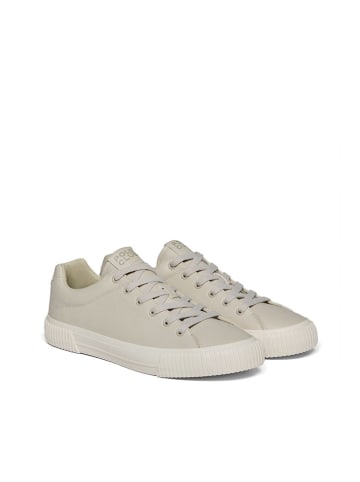 Polo Club Sneakers beige