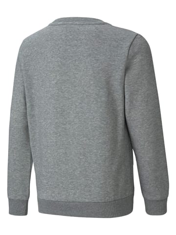 Puma Sweatshirt "ESS Big Logo" in Grau