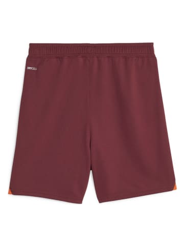 Puma Trainingsshorts "MCFC" in Rot