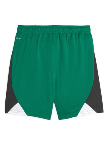 Puma Trainingsshorts "BMG" in Grün/ Schwarz/ Weiß