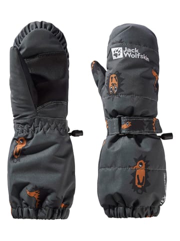 Jack Wolfskin Functionele wanten "Gleely" grijs
