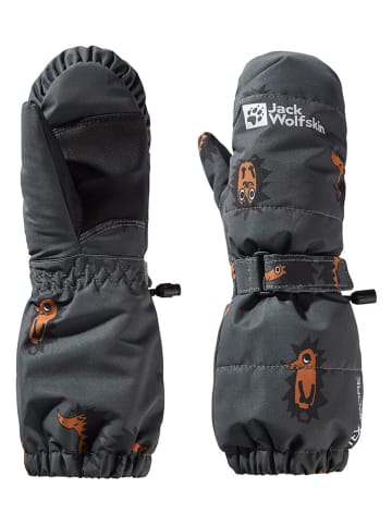 Jack Wolfskin Funktionsfäustlinge "Gleely" in Grau