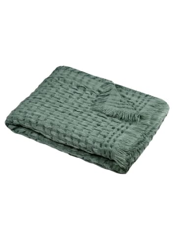 STOF France Plaid "Alfie" in Grün - (L)150 x (B)130 cm