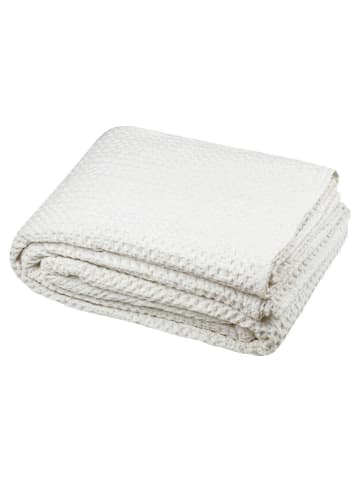 STOF France Plaid "Anouk" in Creme - (L)160 x (B)130 cm