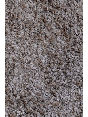 freundin HOME COLLECTION Hochflor-Teppich "Shaggy" in Beige/ Braun