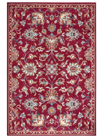 Hanse Home Kurzflor-Teppich "Caracci Luxor" in Rot