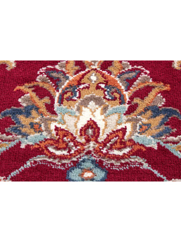 Hanse Home Laagpolig tapijt "Caracci Luxor" rood