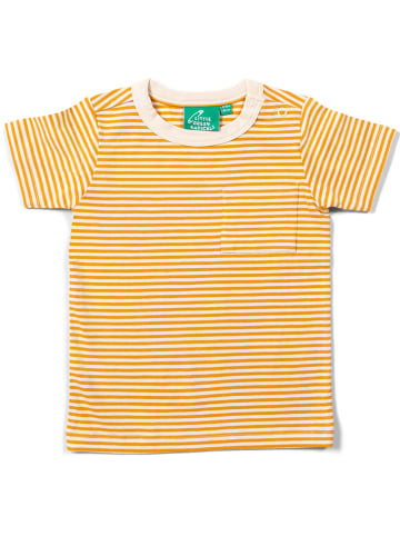 Little Green Radicals Shirt in Orange