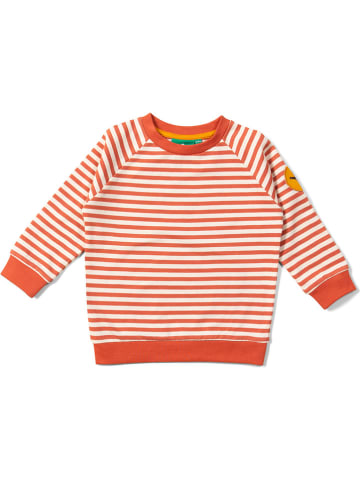 Little Green Radicals Sweatshirt in Rot/ Weiß