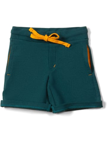 Little Green Radicals Sweatshorts in Türkis