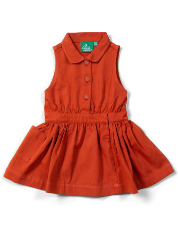 Little Green Radicals Kleid in Rot