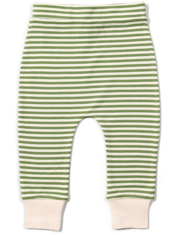 Little Green Radicals 2-delige outfit groen