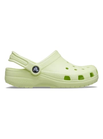 Crocs Crocs "Classic Clog" in Grün