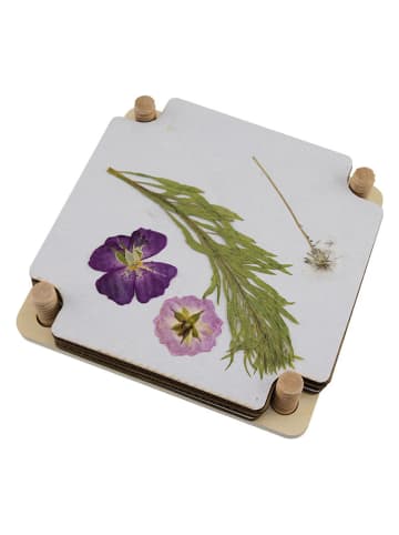 BLS Kreativset "Blumenpresse" - (L)15 x (B)15 cm