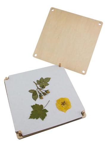 BLS Kreativset "Blumenpresse" - (L)30 x (B)30 cm