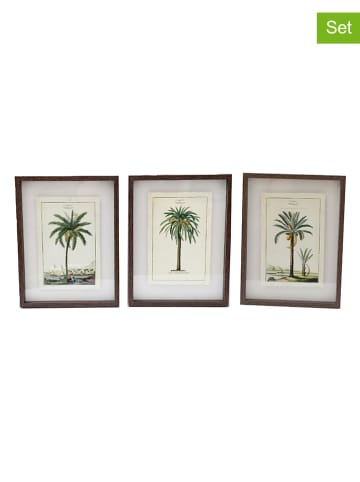 SiL Interiors Druki artystyczne (3 szt.) "Palm" ze wzorem - 30 x 40 x 3 cm