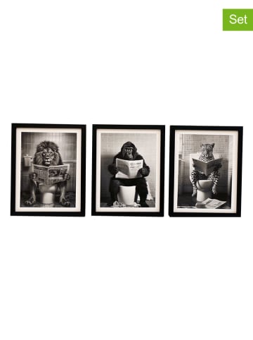 SiL Interiors 3-delige set: ingelijste kunstdrukken "Animal" zwart/wit - (L)25 x (B)20 cm