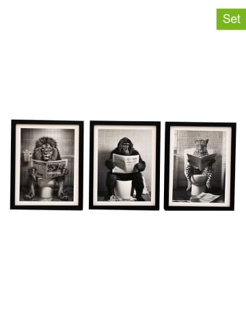 SiL Interiors 3er-Set: Gerahmter Kunstdruck "Animal" in Schwarz/ Weiß - (L)25 x (B)20 cm