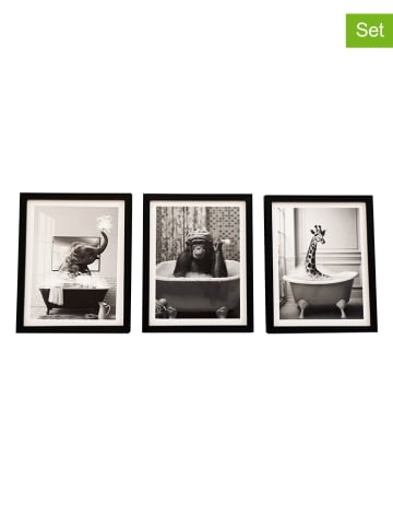 SiL Interiors 3-delige set: ingelijste kunstdrukken "Animal bath" zwart/wit - (L)25 x (B)20 cm