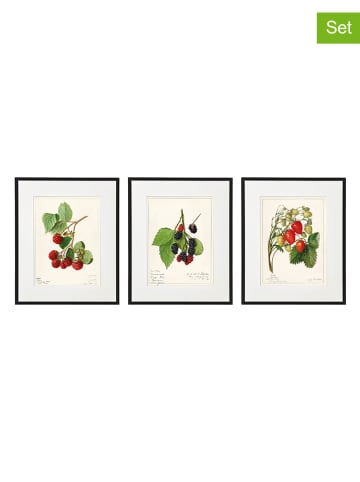 SiL Interiors 3-delige set: ingelijste kunstdrukken "Fruit" - (L)25 x (B)20 cm