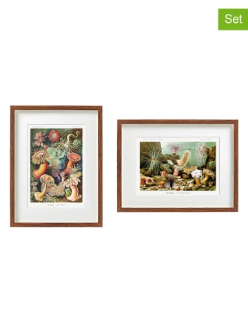 SiL Interiors Druki artystyczne (2 szt.) w kolorze brązowym ze wzorem w ramce - 40 x 30 cm