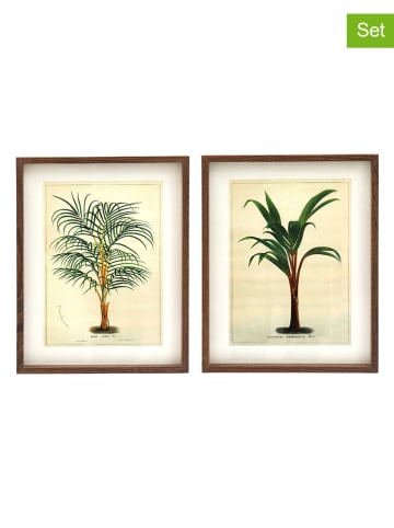 SiL Interiors 2er-Set: Gerahmter Kunstdruck "Palm Tree" in Creme/ Grün - (L)40 x (B)30 cm