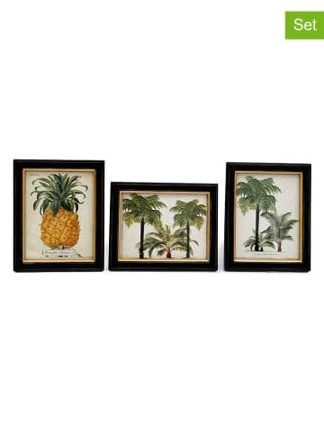 SiL Interiors 3-delige set: ingelijste kunstdrukken "Tropical" groen/oranje - (L)25 x (B)20 cm