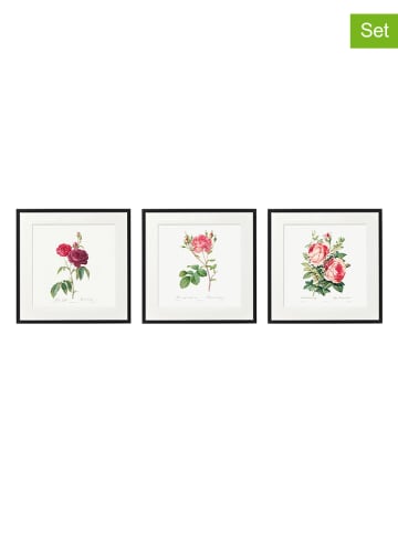 SiL Interiors Druki artystyczne (3 szt.) "Roses" ze wzorem w ramce - 30 x 30 cm
