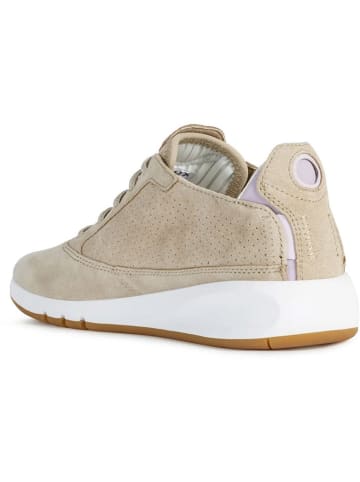 Geox Leren sneakers "Aerantis" beige/wit