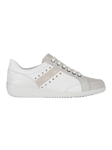 Geox Leder-Sneakers "Myria" in Weiß/ Beige