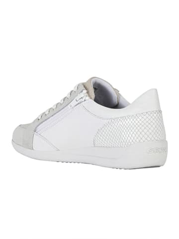 Geox Leder-Sneakers "Myria" in Weiß/ Beige