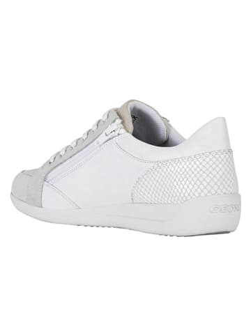 Geox Leren sneakers "Myria" wit/beige