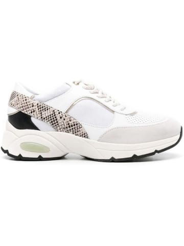 Geox Leder-Sneakers "Alhour" in Weiß/ Beige/ Schwarz
