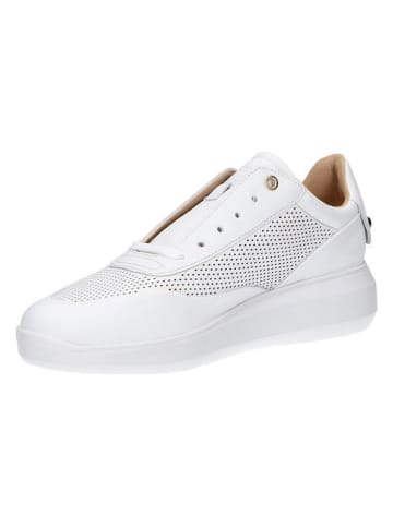 Geox Leren sneakers "Rubidia" wit