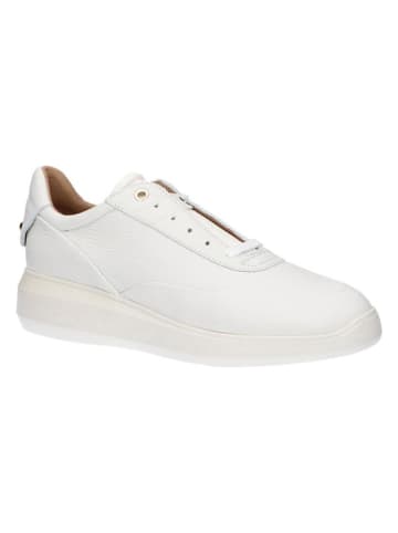 Geox Leren sneakers "Rubidia" wit