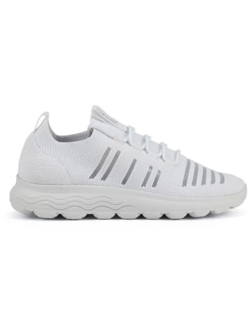 Geox Sneakers "Spherica" in Weiß