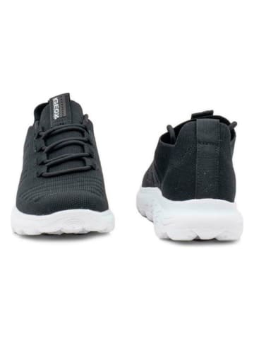 Geox Sneakers "Spherica" in Schwarz/ Weiß