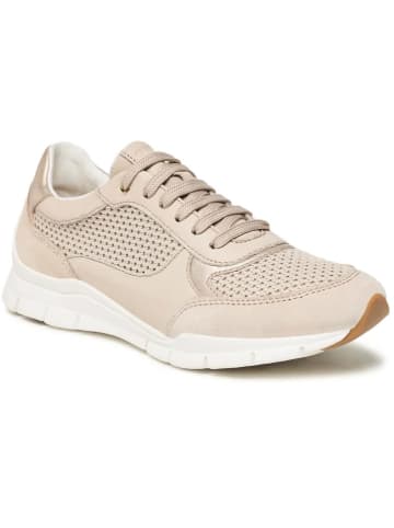 Geox Leder-Sneakers "Sukie" in Beige/ Weiß