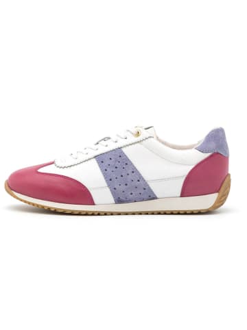 Geox Leren sneakers "Calithe" wit/paars/rood