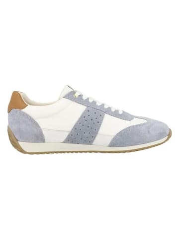 Geox Leren sneakers "Calithe" wit/lichtblauw
