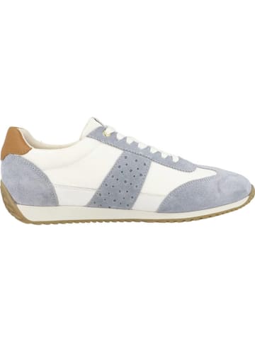 Geox Leren sneakers "Calithe" wit/lichtblauw