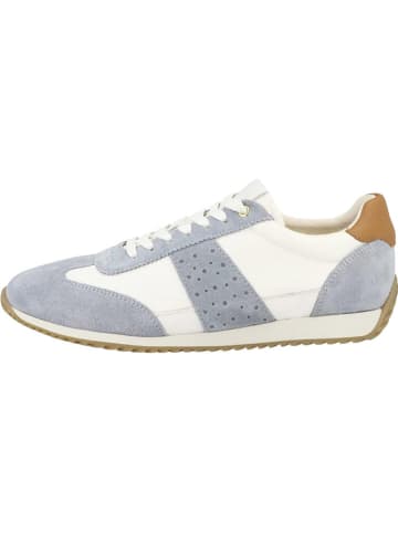 Geox Leder-Sneakers "Calithe" in Weiß/ Hellblau