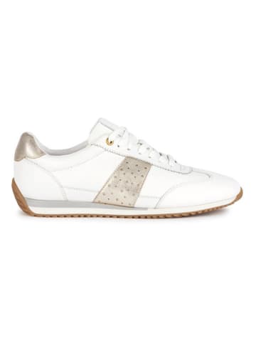 Geox Leder-Sneakers "Calithe" in Weiß/ Gold