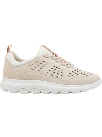 Geox Leder-Sneakers "Spherica" in Beige/ Weiß