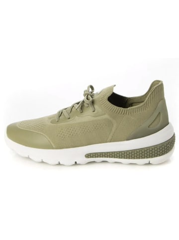 Geox Sneakers "Spherica Actif" kaki/wit