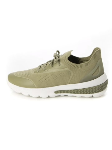 Geox Sneakers "Spherica Actif" kaki/wit