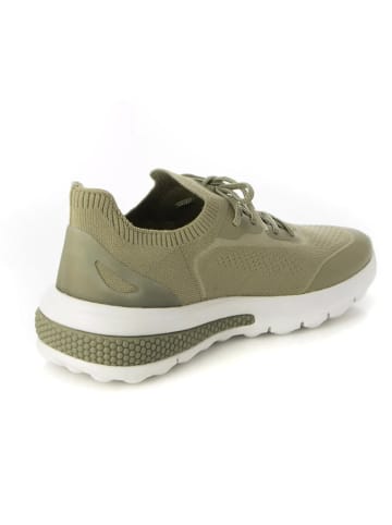 Geox Sneakers "Spherica Actif" in Khaki/ Weiß